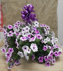 Petunia Hanging Basket from Beck's Flower Shop & Gardens, in Jackson, Michigan
