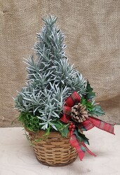 HOLIDAY TREE from Beck's Flower Shop & Gardens, in Jackson, Michigan