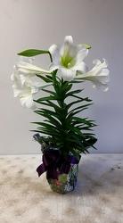 Easter Lily from Beck's Flower Shop & Gardens, in Jackson, Michigan