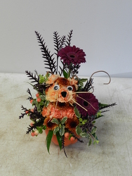 Tricky Kitty from Beck's Flower Shop & Gardens, in Jackson, Michigan