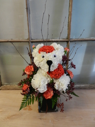 Zombie Dog from Beck's Flower Shop & Gardens, in Jackson, Michigan