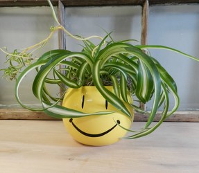 Smiley Planter from Beck's Flower Shop & Gardens, in Jackson, Michigan