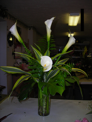 Simply Calla from Beck's Flower Shop & Gardens, in Jackson, Michigan