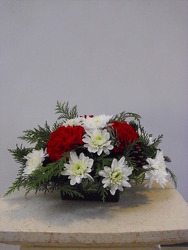 Small Christmas Centerpiece from Beck's Flower Shop & Gardens, in Jackson, Michigan