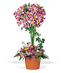 Alstroemeria Topiary from Beck's Flower Shop & Gardens, in Jackson, Michigan