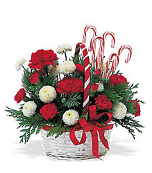 Candy Cane Basket from Beck's Flower Shop & Gardens, in Jackson, Michigan