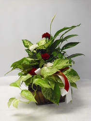 Valentine's Planter from Beck's Flower Shop & Gardens, in Jackson, Michigan