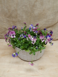 Pansy Planter from Beck's Flower Shop & Gardens, in Jackson, Michigan
