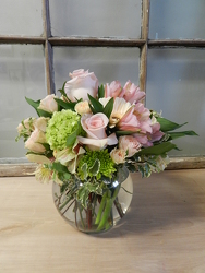 Fancy Bubble bowl from Beck's Flower Shop & Gardens, in Jackson, Michigan