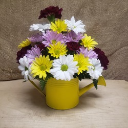 Watering Can Arrangement from Beck's Flower Shop & Gardens, in Jackson, Michigan