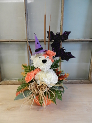 Halloween Puppy from Beck's Flower Shop & Gardens, in Jackson, Michigan