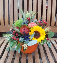 DELUXE PUMPKIN ARRANGEMENT from Beck's Flower Shop & Gardens, in Jackson, Michigan