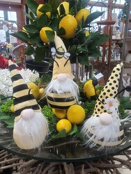 BEE-GNOME from Beck's Flower Shop & Gardens, in Jackson, Michigan