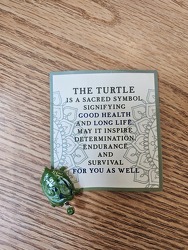TURTLE TOKEN from Beck's Flower Shop & Gardens, in Jackson, Michigan