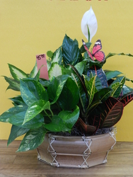  from Beck's Flower Shop & Gardens, in Jackson, Michigan