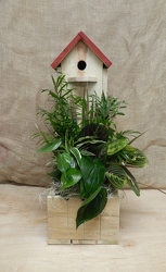 Birdhouse Planter from Beck's Flower Shop & Gardens, in Jackson, Michigan