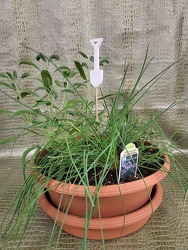 Herb Flavor Station from Beck's Flower Shop & Gardens, in Jackson, Michigan