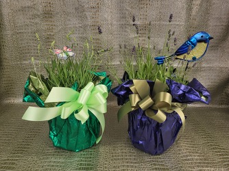 Lavender Surprise from Beck's Flower Shop & Gardens, in Jackson, Michigan