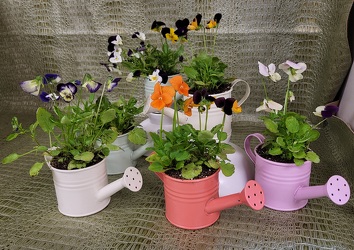 small flower token  from Beck's Flower Shop & Gardens, in Jackson, Michigan