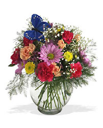 Butterfly & Blossoms Vase from Beck's Flower Shop & Gardens, in Jackson, Michigan