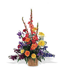 Rainbow Basket from Beck's Flower Shop & Gardens, in Jackson, Michigan