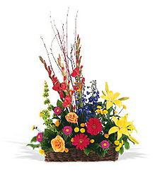 Sunshine Basket from Beck's Flower Shop & Gardens, in Jackson, Michigan