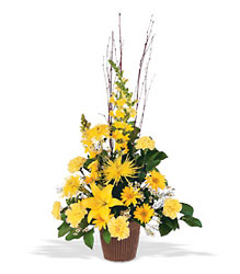 Brighter Blessings Arrangement from Beck's Flower Shop & Gardens, in Jackson, Michigan