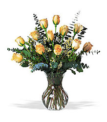 A Dozen Pale Peach Roses from Beck's Flower Shop & Gardens, in Jackson, Michigan