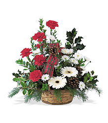 Winter Wonderland Basket from Beck's Flower Shop & Gardens, in Jackson, Michigan